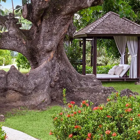 Sandals Halcyon Beach All Inclusive - Couples Only (Adults Only)-3